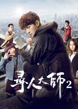 寻人大师2海报