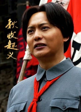 秋收起义DVD版海报