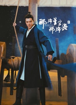 那片星空那片海2DVD版海报