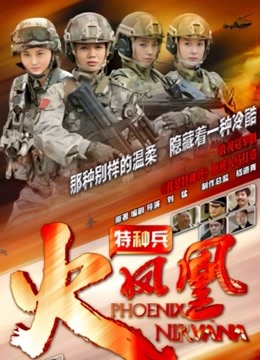 特种兵之火凤凰DVD版海报