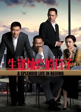 生逢灿烂的日子海报
