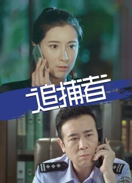 追捕者海报