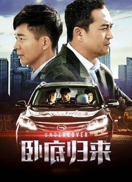 卧底归来海报