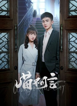 喵不可言海报