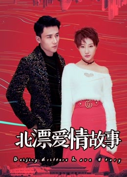 北漂爱情故事海报