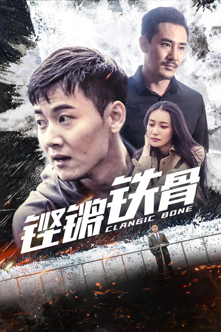 铿锵铁骨海报