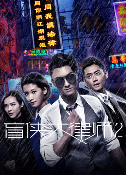 盲侠大律师2海报