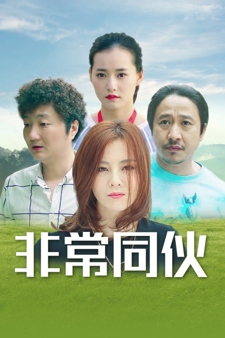 非常同伙海报