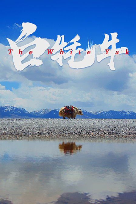 白牦牛海报