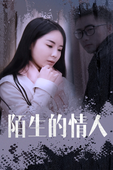 陌生的情人海报