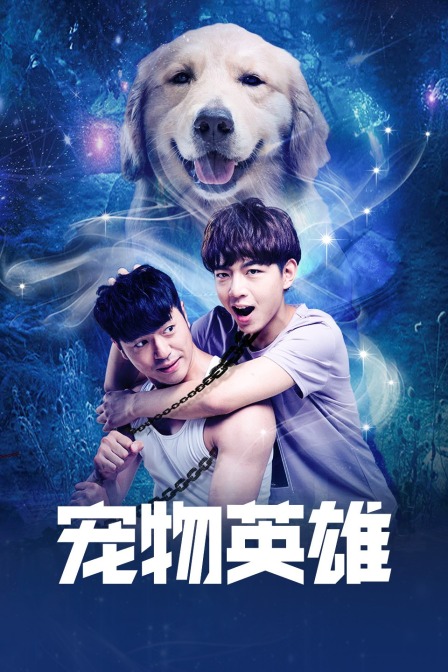 宠物英雄海报