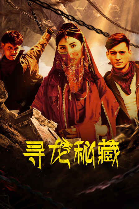 寻龙秘藏海报