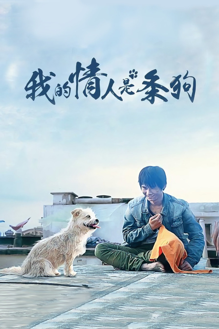我的情人是条狗海报