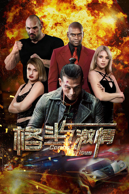 格斗与激情海报