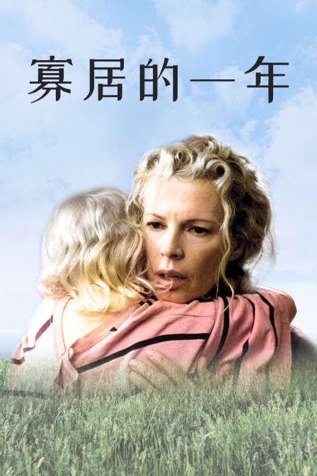 寡居的一年海报