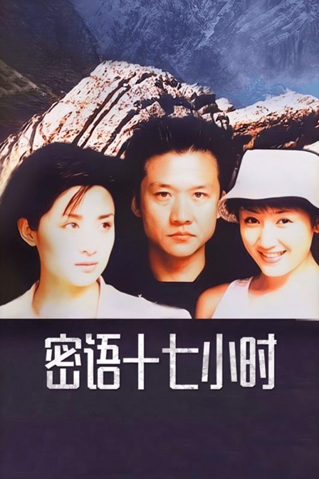 密语十七小时海报