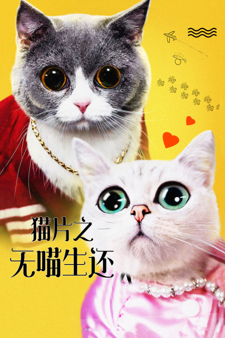 猫片之无喵生还海报