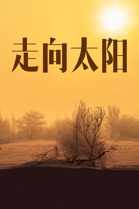 走向太阳海报