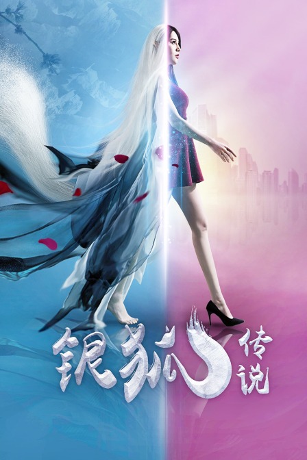 银狐传说海报