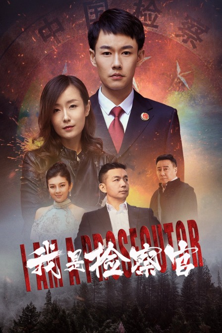 我是检察官海报