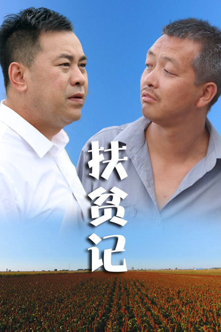 扶贫记海报