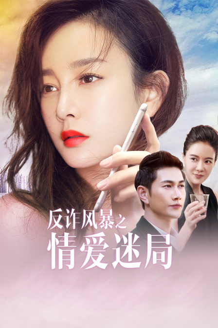 反诈风暴之情爱迷局海报