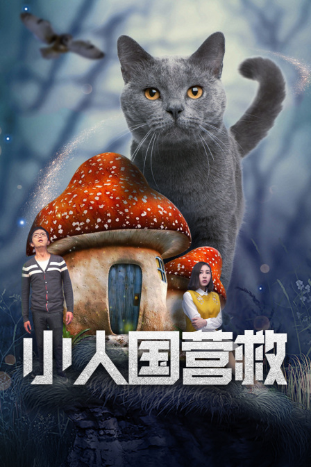 小人国营救海报