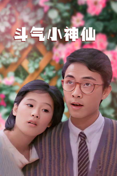 斗气小神仙海报