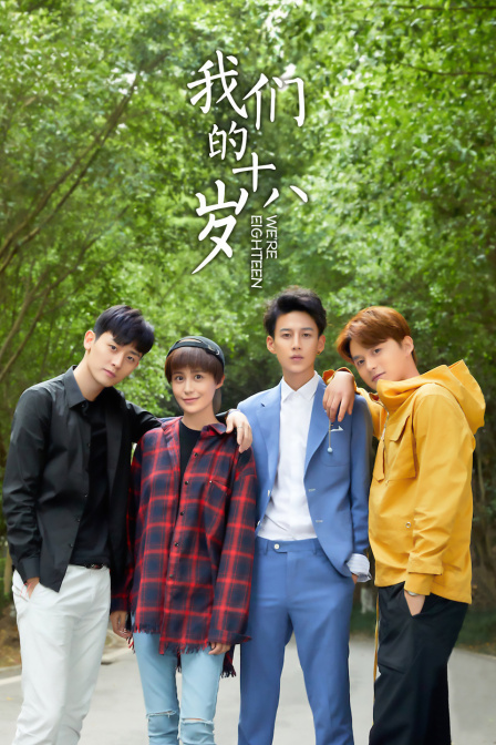 我们的十八岁海报