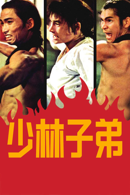 少林子弟海报
