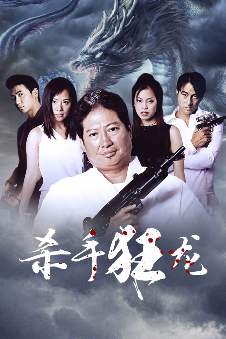 杀手狂龙海报