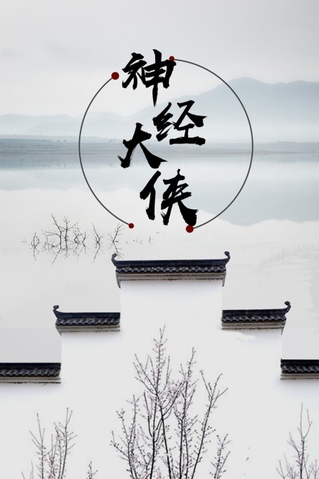神经大侠海报