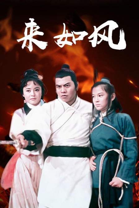 来如风海报