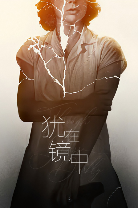 犹在镜中海报