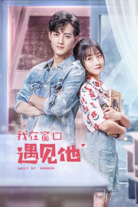 我在窗口遇见他海报