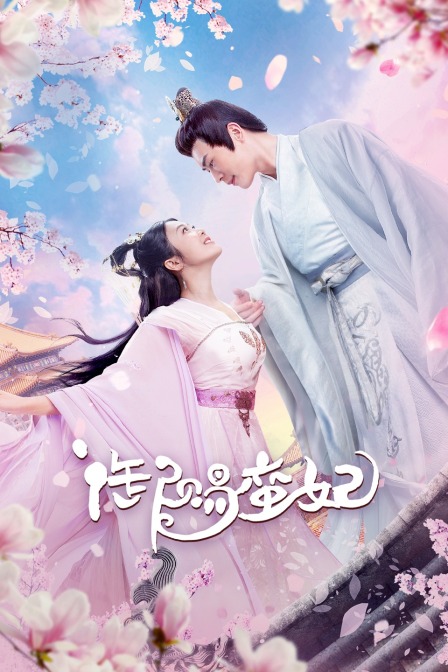 御赐蛮妃海报