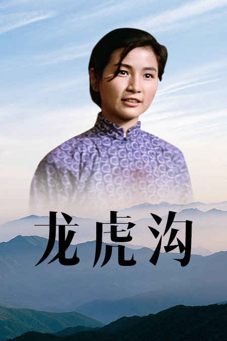 龙虎沟海报