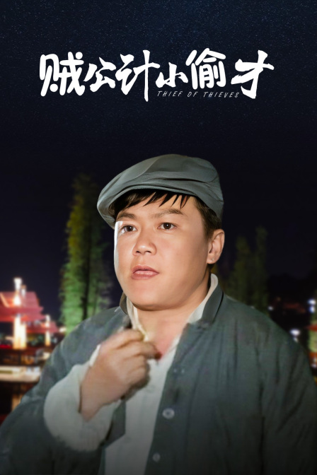 贼公计小偷才海报