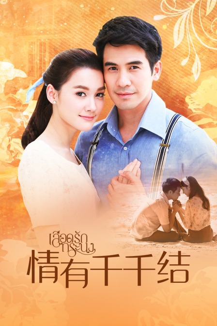 情有千千结 TV版海报