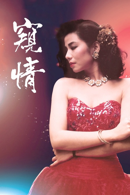 窥情海报