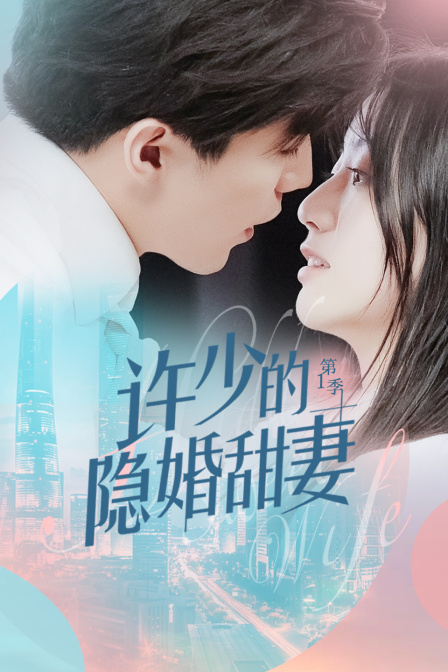 许少的隐婚甜妻 第一季海报