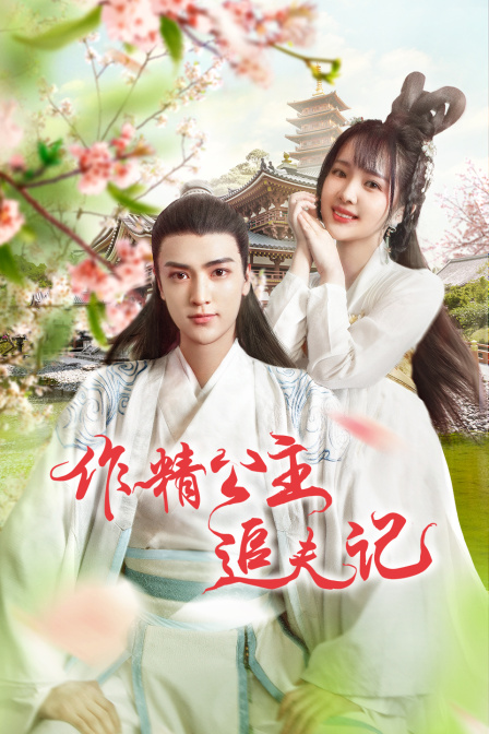 作精公主追夫记海报