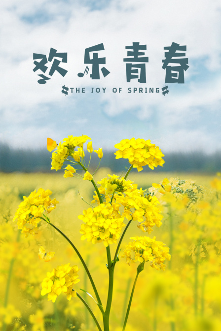欢乐青春海报