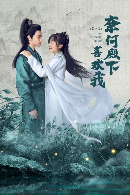 奈何殿下喜欢我 第二季海报