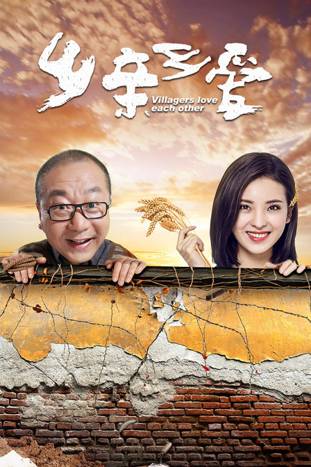 乡亲乡爱海报