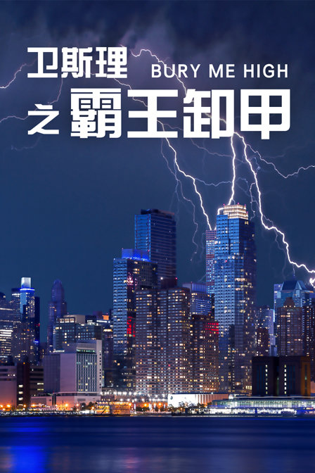 卫斯理之霸王卸甲海报