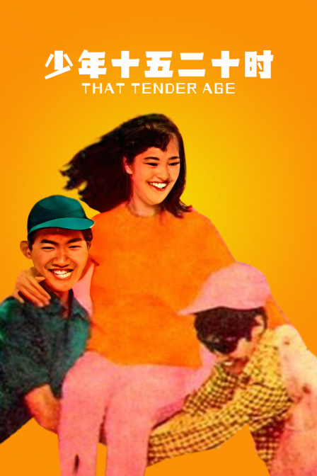 少年十五二十时海报