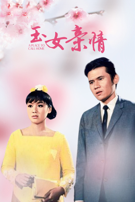 玉女亲情海报