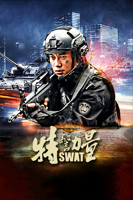 特警力量 DVD版海报