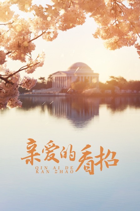 亲爱的看招海报